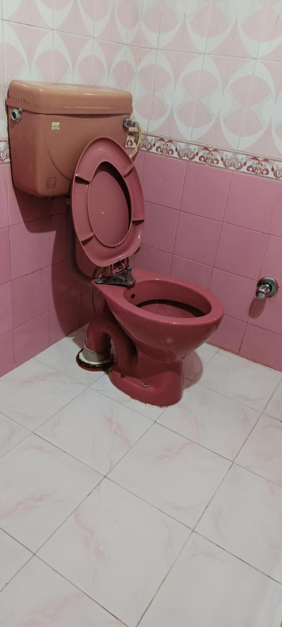 Hotel Hari Ganga - Harkipauri Road Haridwār Dış mekan fotoğraf